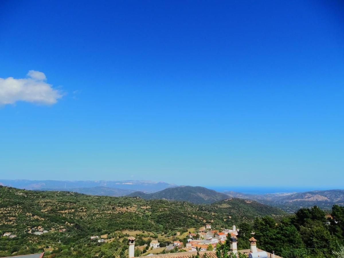 Le Sorgenti Guest House Ilbono Екстер'єр фото