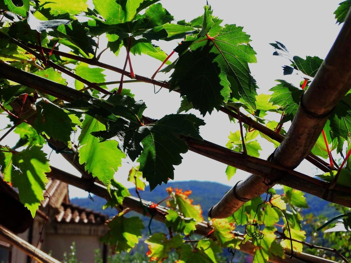 Le Sorgenti Guest House Ilbono Екстер'єр фото