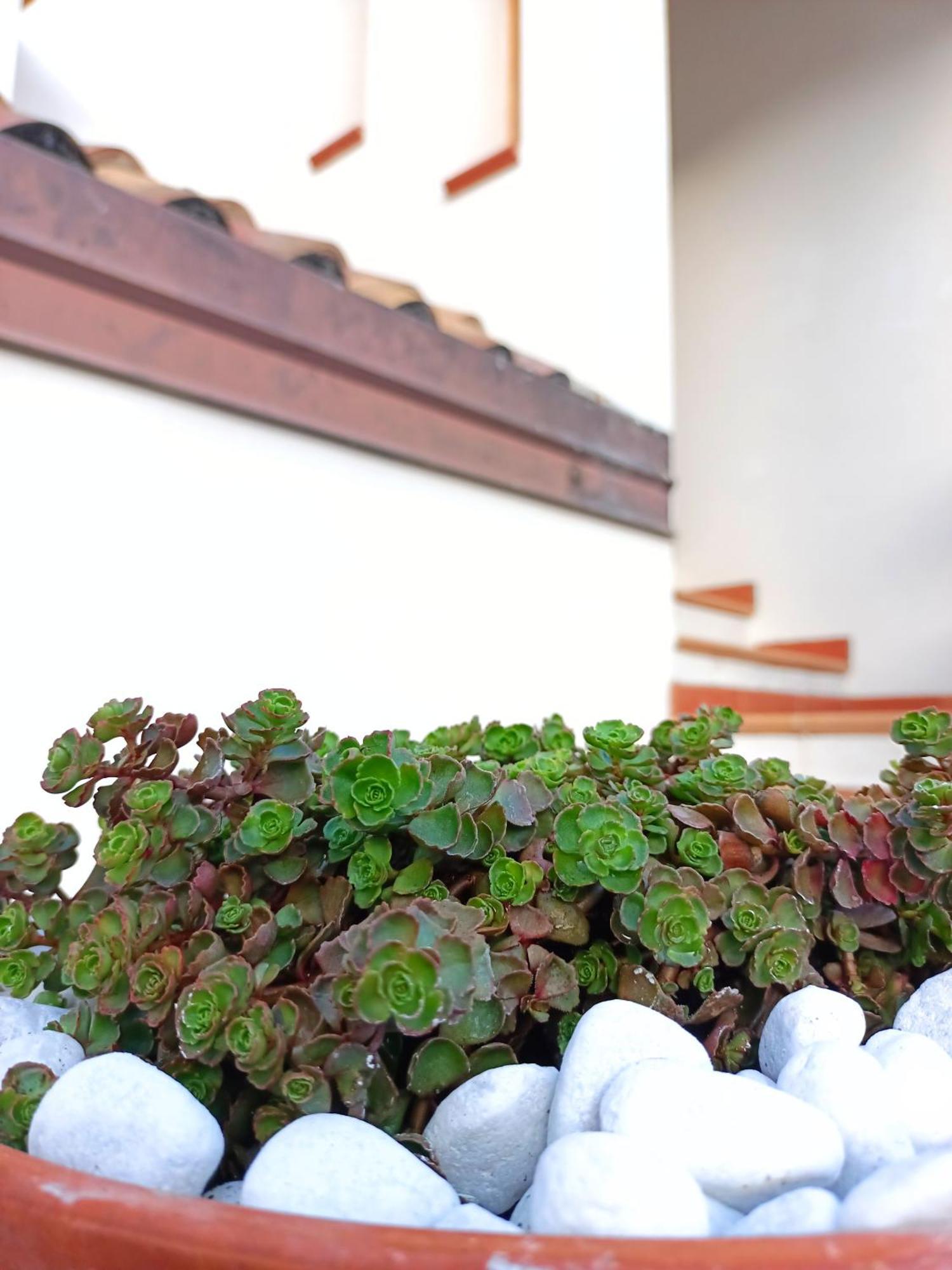 Le Sorgenti Guest House Ilbono Екстер'єр фото