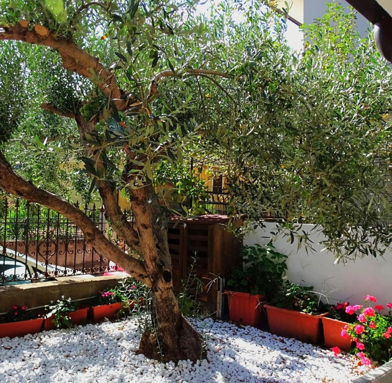 Le Sorgenti Guest House Ilbono Екстер'єр фото