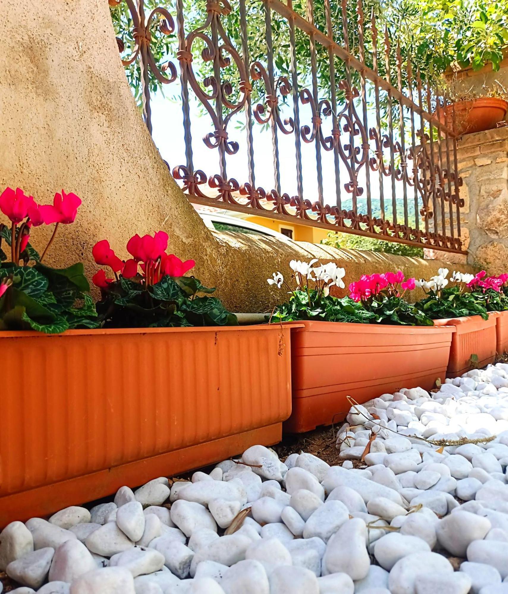 Le Sorgenti Guest House Ilbono Екстер'єр фото